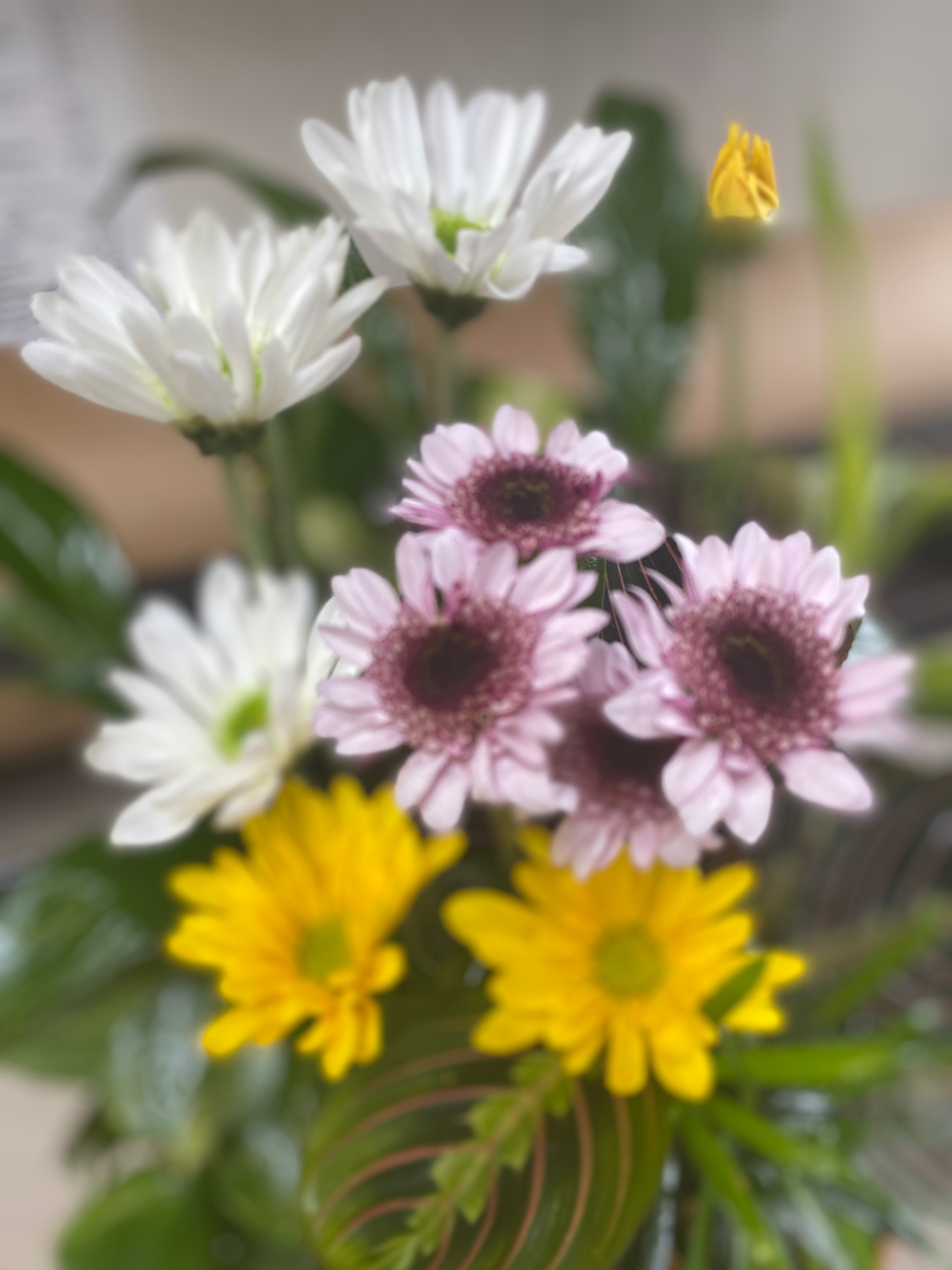 Add Fresh Cut Flowers